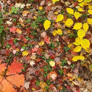 Meet your Posher, Cathy